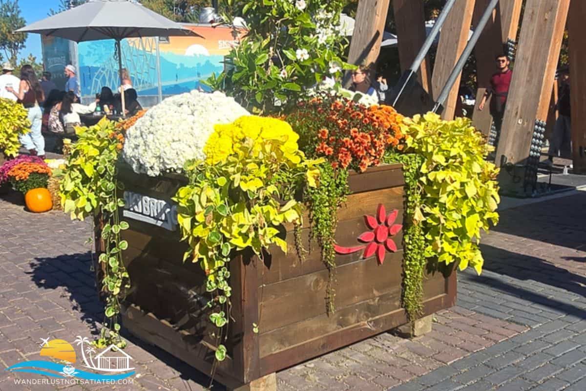 beautiful planters on skybridge exit beautiful planters on skybridge exit